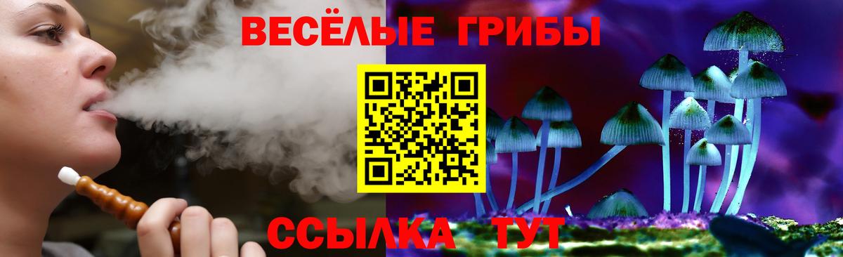 закладка  Галлюциногенные грибы Psilocybine cubensis  Галлюциногенные грибы Cubensis  Вход с VPN  Кунгур 